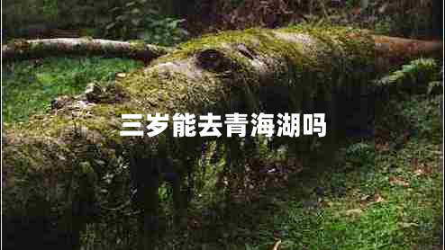 三歲能去青海湖嗎 三歲能去青海湖嗎
