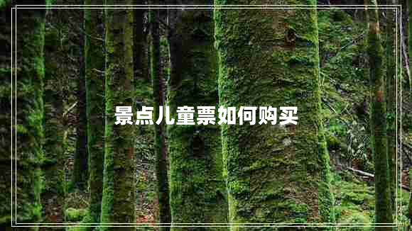 景點兒童票如何購買