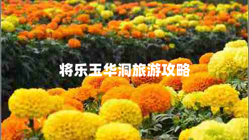 將樂玉華洞旅游攻略