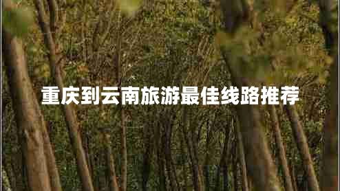 重慶到云南旅游最佳線路推薦 重慶到云南旅游最佳線路推薦