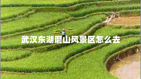 武漢東湖磨山風(fēng)景區(qū)怎么去 武漢東湖磨山風(fēng)景區(qū)怎么去