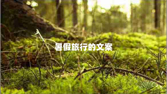 暑假旅行的文案