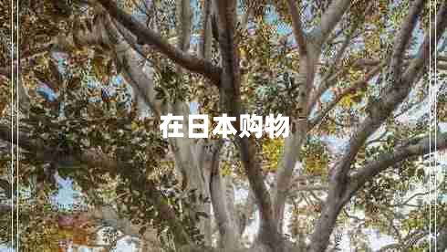 在日本購物 在日本購物