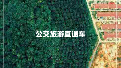 公交旅游直通車 公交旅游直通車