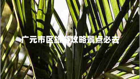 廣元市區(qū)旅游攻略景點必去 廣元市區(qū)旅游攻略景點必去