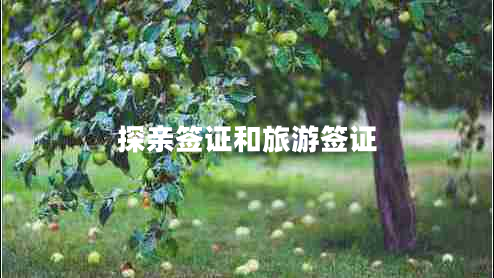 探親簽證和旅游簽證 探親簽證和旅游簽證