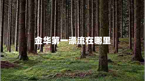 金華第一漂流在哪里 金華第一漂流在哪里