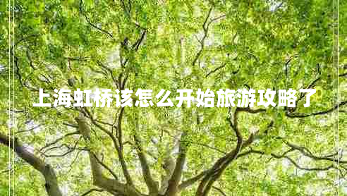 上海虹橋該怎么開始旅游攻略了 上海虹橋該怎么開始旅游攻略了