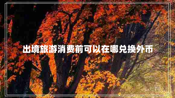 出境旅游消費(fèi)前可以在哪兌換外幣 出境旅游消費(fèi)前可以在哪兌換外幣