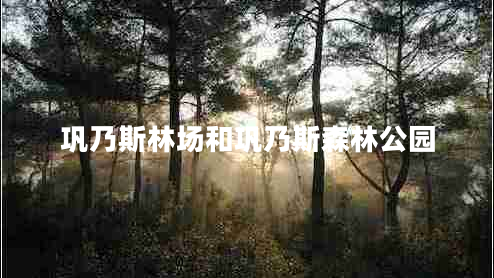 鞏乃斯林場和鞏乃斯森林公園