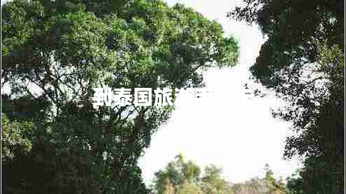 到泰國(guó)旅游手機(jī)卡