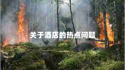 關(guān)于酒店的熱點(diǎn)問題