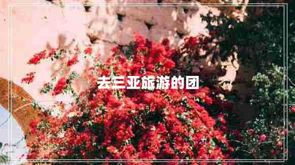 去三亞旅游的團 去三亞旅游的團