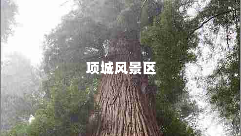 項城風景區(qū)