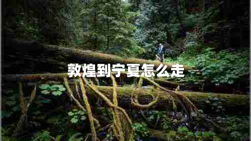 敦煌到寧夏怎么走 敦煌到寧夏怎么走