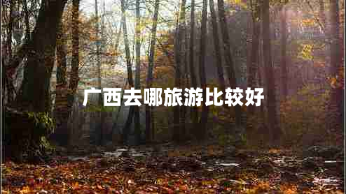 廣西去哪旅游比較好