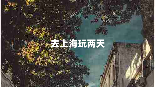去上海玩兩天