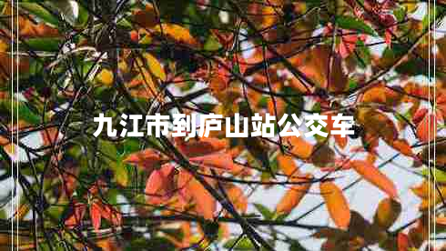 九江市到廬山站公交車 九江市到廬山站公交車