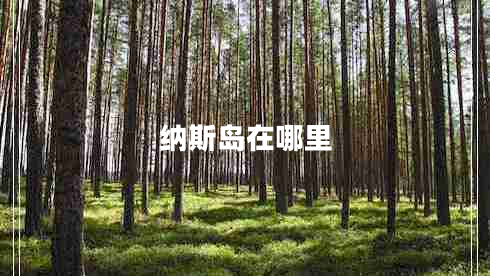 納斯島在哪里 納斯島在哪里