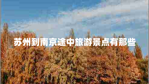 蘇州到南京途中旅游景點(diǎn)有那些 蘇州到南京途中旅游景點(diǎn)有那些