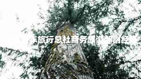 北京青年旅行總社商務(wù)旅游部副經(jīng)理