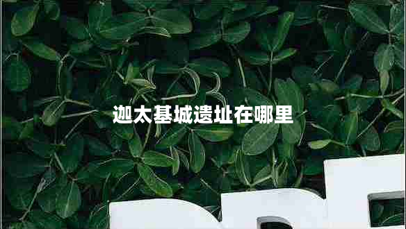 迦太基城遺址在哪里 迦太基城遺址在哪里