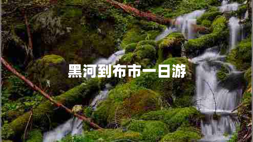 黑河到布市一日游 黑河到布市一日游