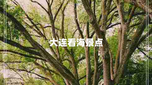 大連看海景點(diǎn)