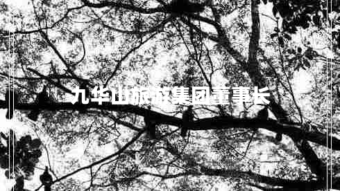 九華山旅游集團(tuán)董事長(zhǎng) 九華山旅游集團(tuán)董事長(zhǎng)