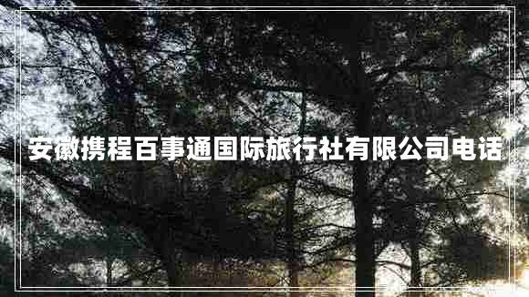 安徽攜程百事通國際旅行社有限公司電話 安徽攜程百事通國際旅行社有限公司電話