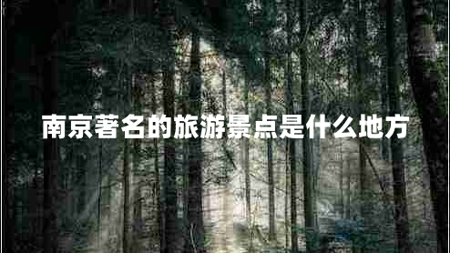 南京著名的旅游景點(diǎn)是什么地方 南京著名的旅游景點(diǎn)是什么地方
