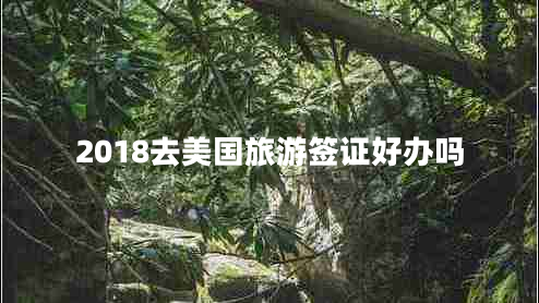 2018去美國旅游簽證好辦嗎