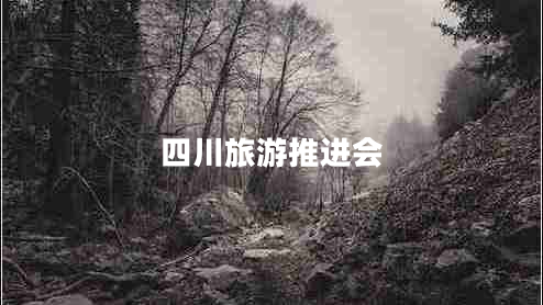 四川旅游推進(jìn)會(huì)