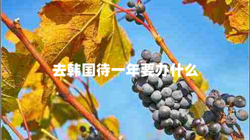 去韓國待一年要辦什么 去韓國待一年要辦什么