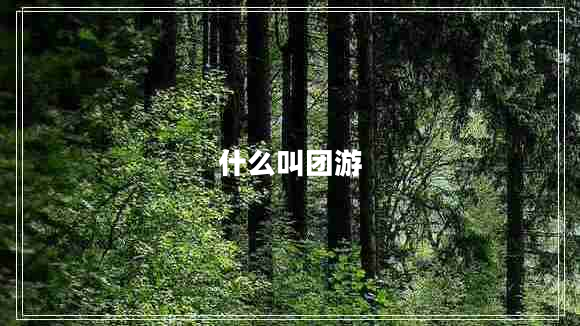 什么叫團(tuán)游 什么叫團(tuán)游