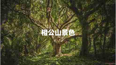 相公山景色 相公山景色