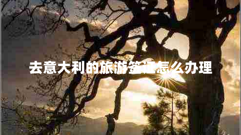 去意大利的旅游簽證怎么辦理