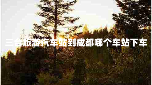 三臺(tái)旅游汽車站到成都哪個(gè)車站下車 三臺(tái)旅游汽車站到成都哪個(gè)車站下車