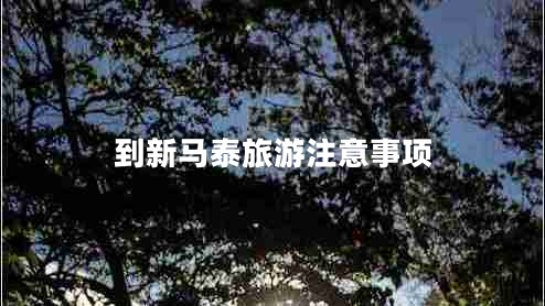 到新馬泰旅游注意事項 到新馬泰旅游注意事項