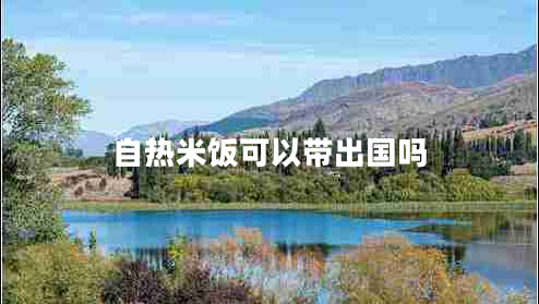 自熱米飯可以帶出國嗎 自熱米飯可以帶出國嗎