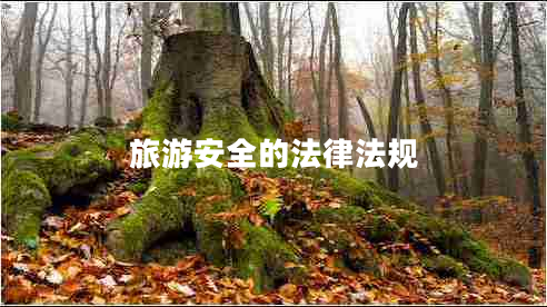 旅游安全的法律法規(guī)