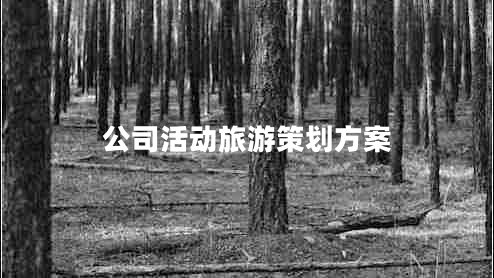 公司活動(dòng)旅游策劃方案 公司活動(dòng)旅游策劃方案