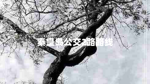 秦皇島公交2路路線 秦皇島公交2路路線