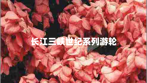 長(zhǎng)江三峽世紀(jì)系列游輪