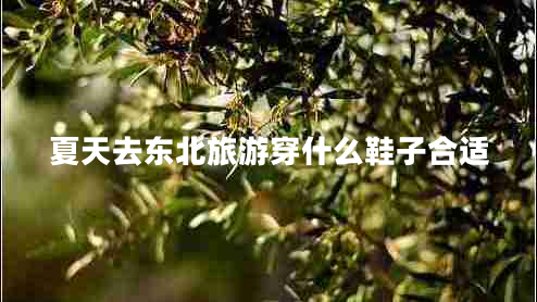 夏天去東北旅游穿什么鞋子合適