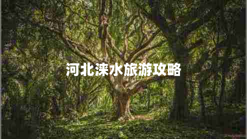 河北淶水旅游攻略 河北淶水旅游攻略