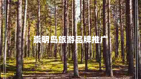 崇明島旅游品牌推廣