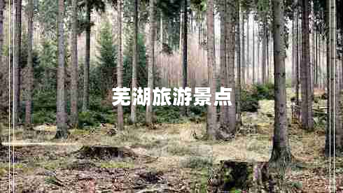 蕪湖旅游景點(diǎn) 蕪湖旅游景點(diǎn)