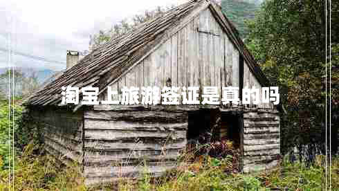 淘寶上旅游簽證是真的嗎