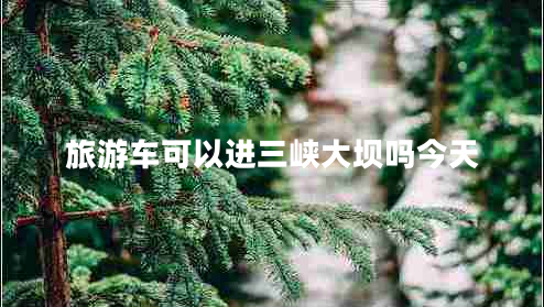 旅游車可以進三峽大壩嗎今天